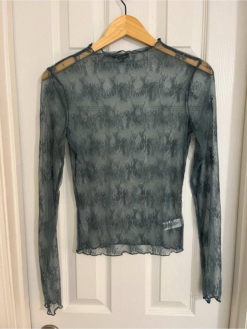 Sheer Lace Long-Sleeve Top